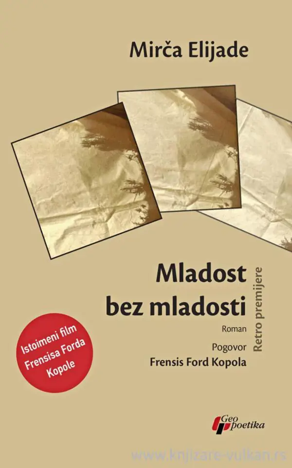 Mladost bez mladosti : roman