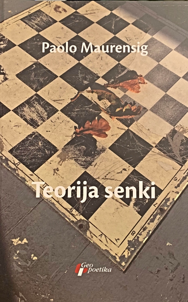 Teorija senki